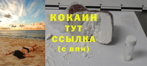 гашик Аркадак