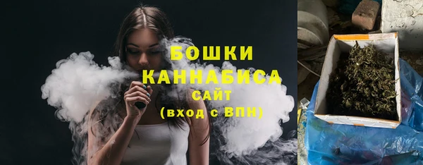PSILOCYBIN Дмитров