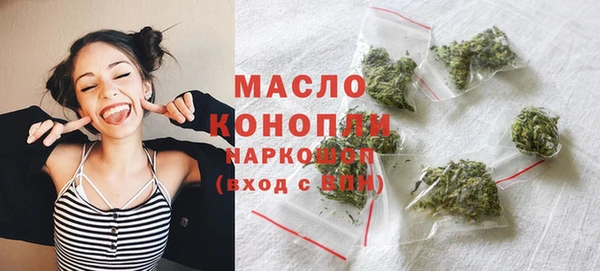 прущий лед Богданович